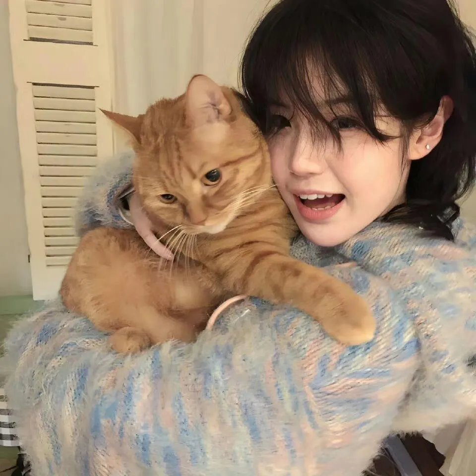 警视厅零系生活安全科万能咨询室爱与泪的告别